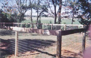 Round Pressure Treated Posts with Wire Mesh and Top Board Fence