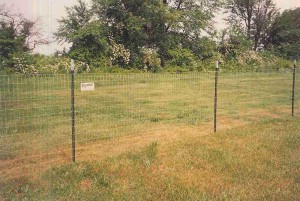 T Posts and Wire Mesh Fence