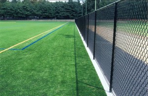 Athletic Fields and Sport Fences 9