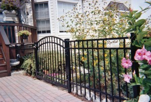 Black Ornamental ELBA Aluminum Fence